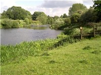 Future Millers Bridge